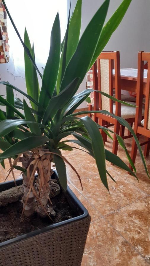 فندق Bajusz Vendeghaz Tornyosnémeti المظهر الخارجي الصورة